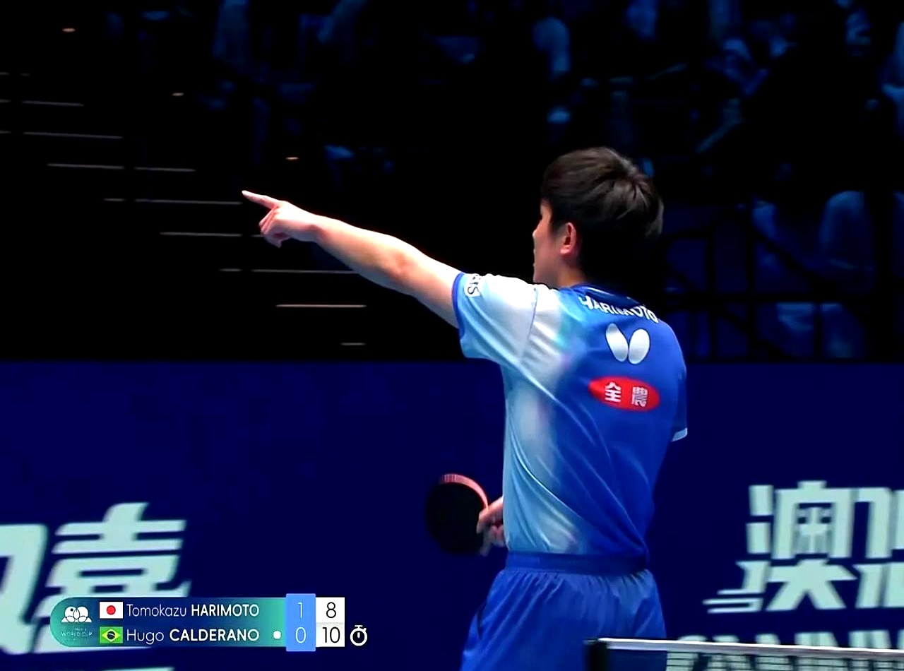 关于奥地利乒乓球队完胜比利时乒乓球队，张本智和高光表现的信息