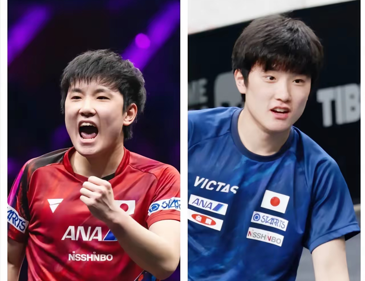 德国队轻取波兰队,张本智和带队取胜的简单介绍 德国队轻取波兰队,张本智和带队取胜的简单介绍