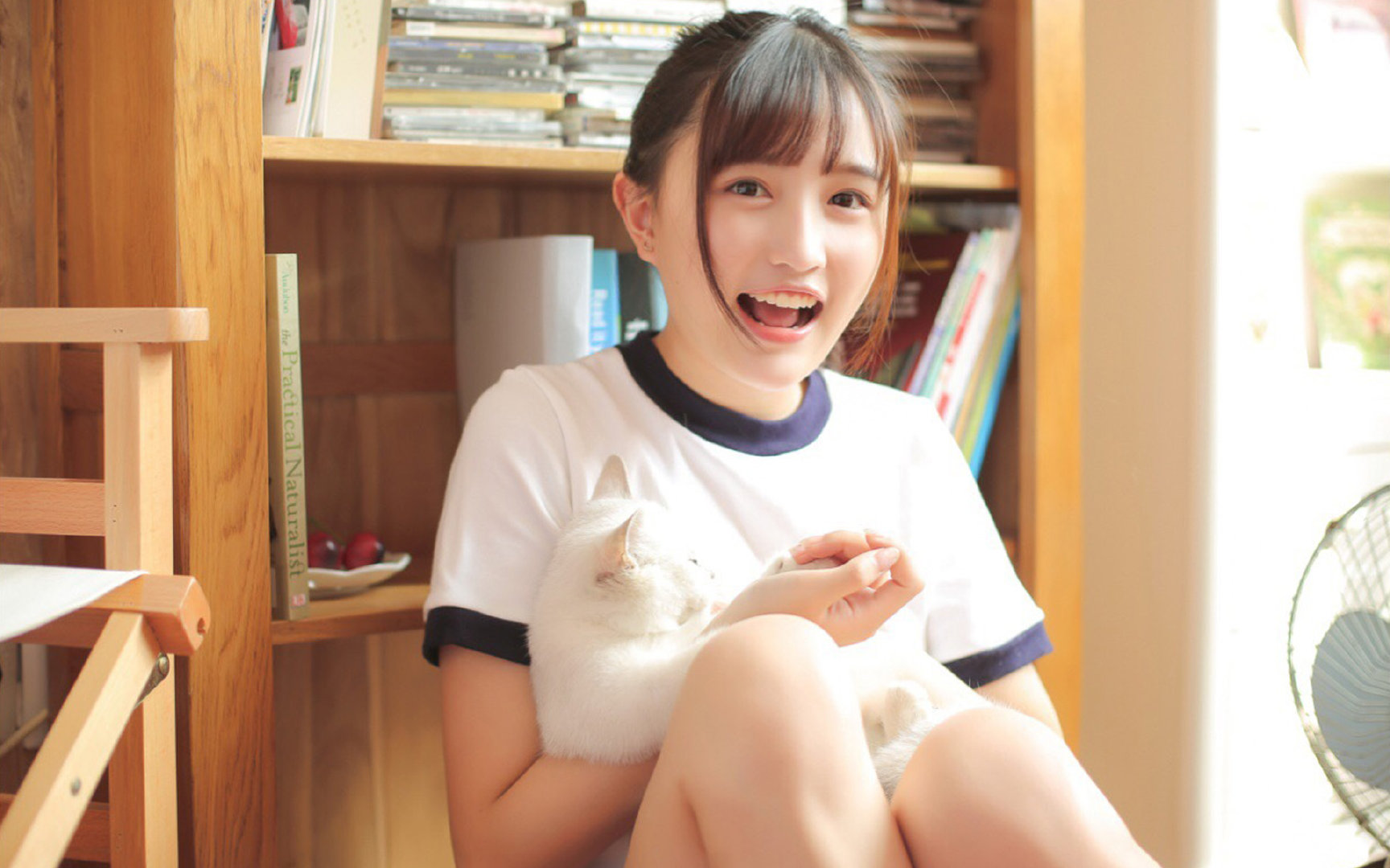 冰川与火山，丹麦队的团队冰封与戴资颖的个人统治