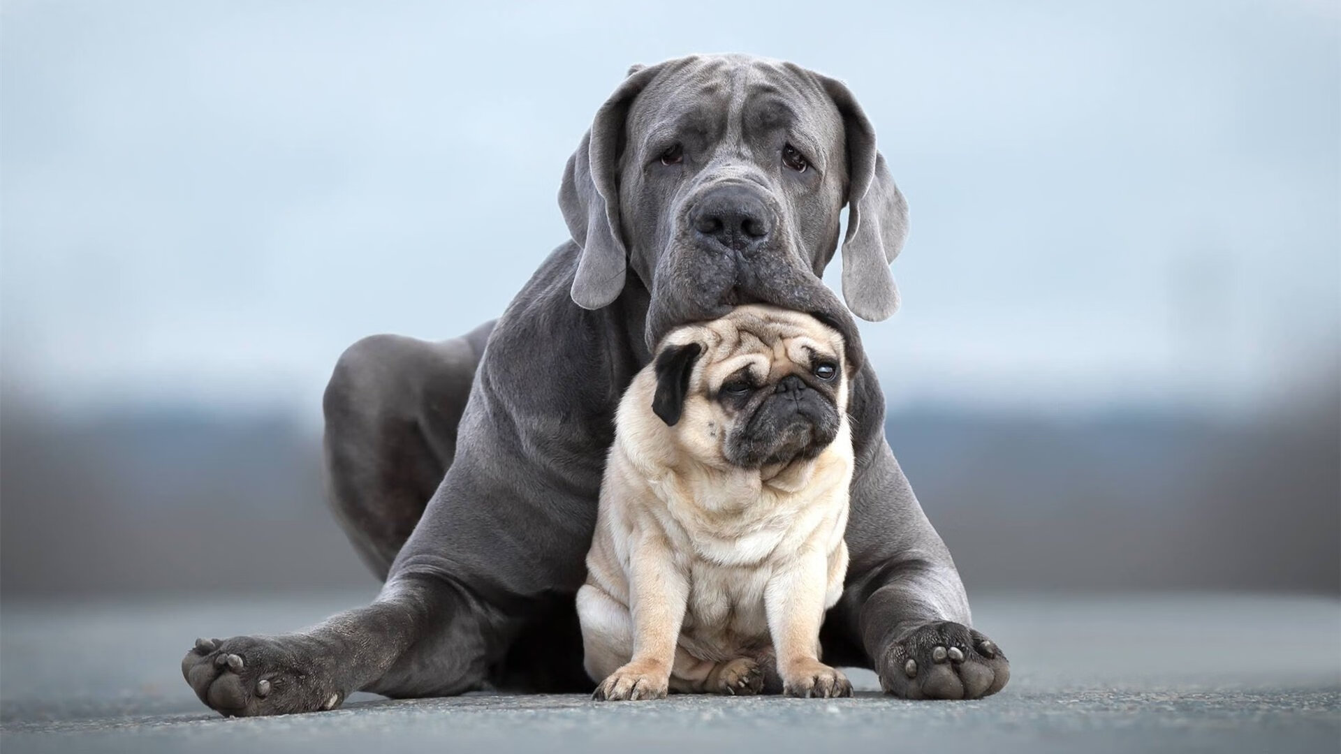 白衣渡海,那一夜,C罗的剑与伯纳乌的风暴