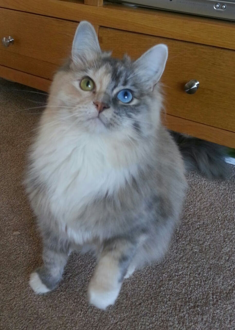 当蒙特卡洛红土遇见拉沃尔杯精神，兹维列夫与网球世界的分水岭