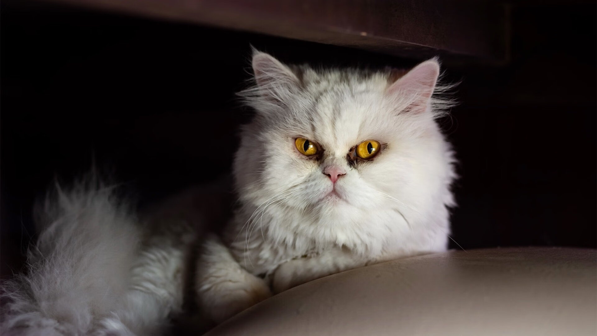 利拉德冰冷三分穿云箭 掘金压哨绝杀终结绿军9连胜