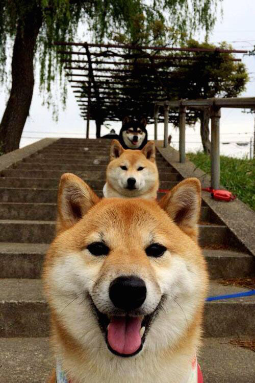 洪都拉斯血拼摩洛哥，在世界的十字路口，看克瓦拉茨赫利亚如何舞台越大越强