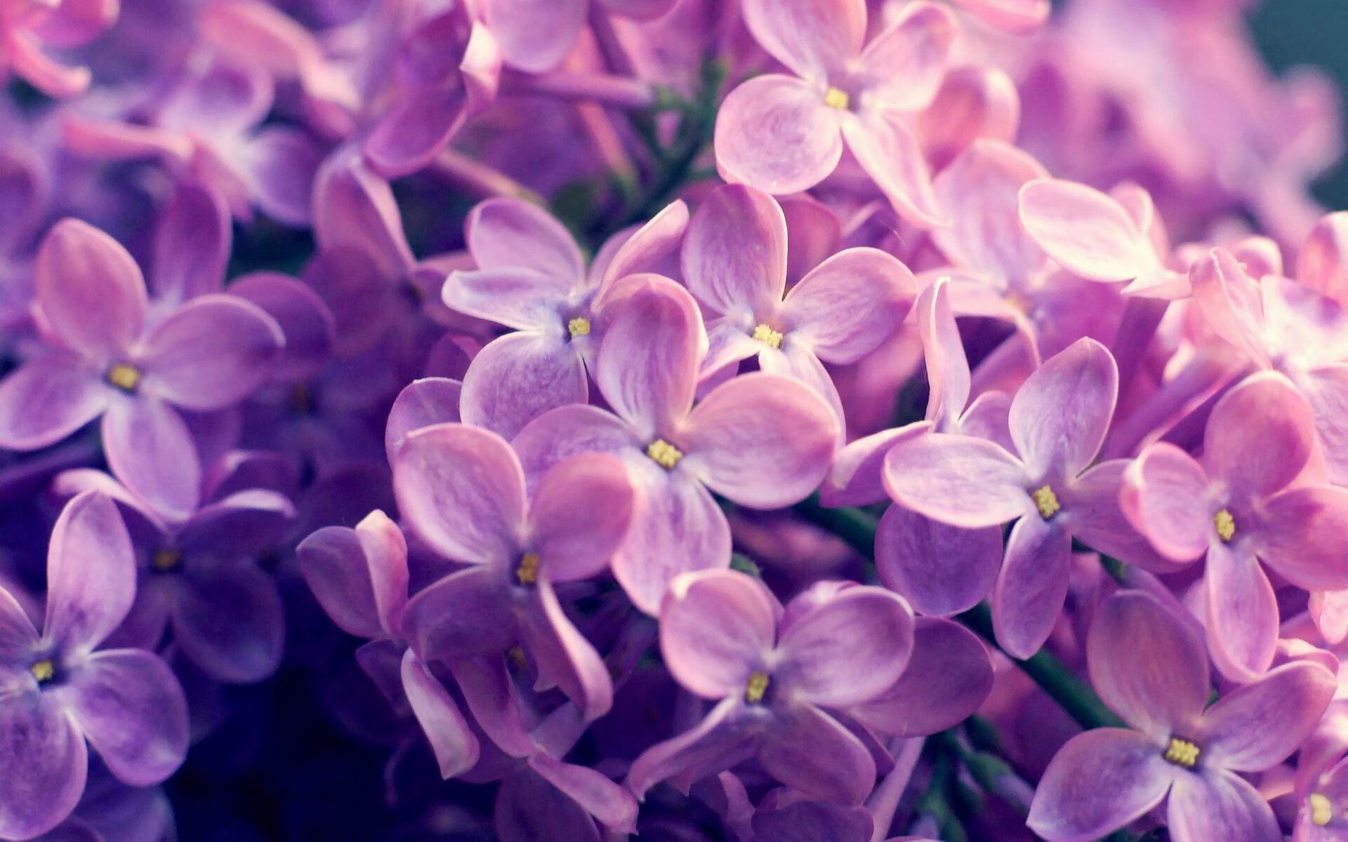 黄色防线上的叹息之墙，德里赫特如何以一己之力冻结巴萨攻势