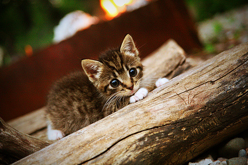 唯一性，当全场最佳不再属于进球者，足球便完成了自我超越