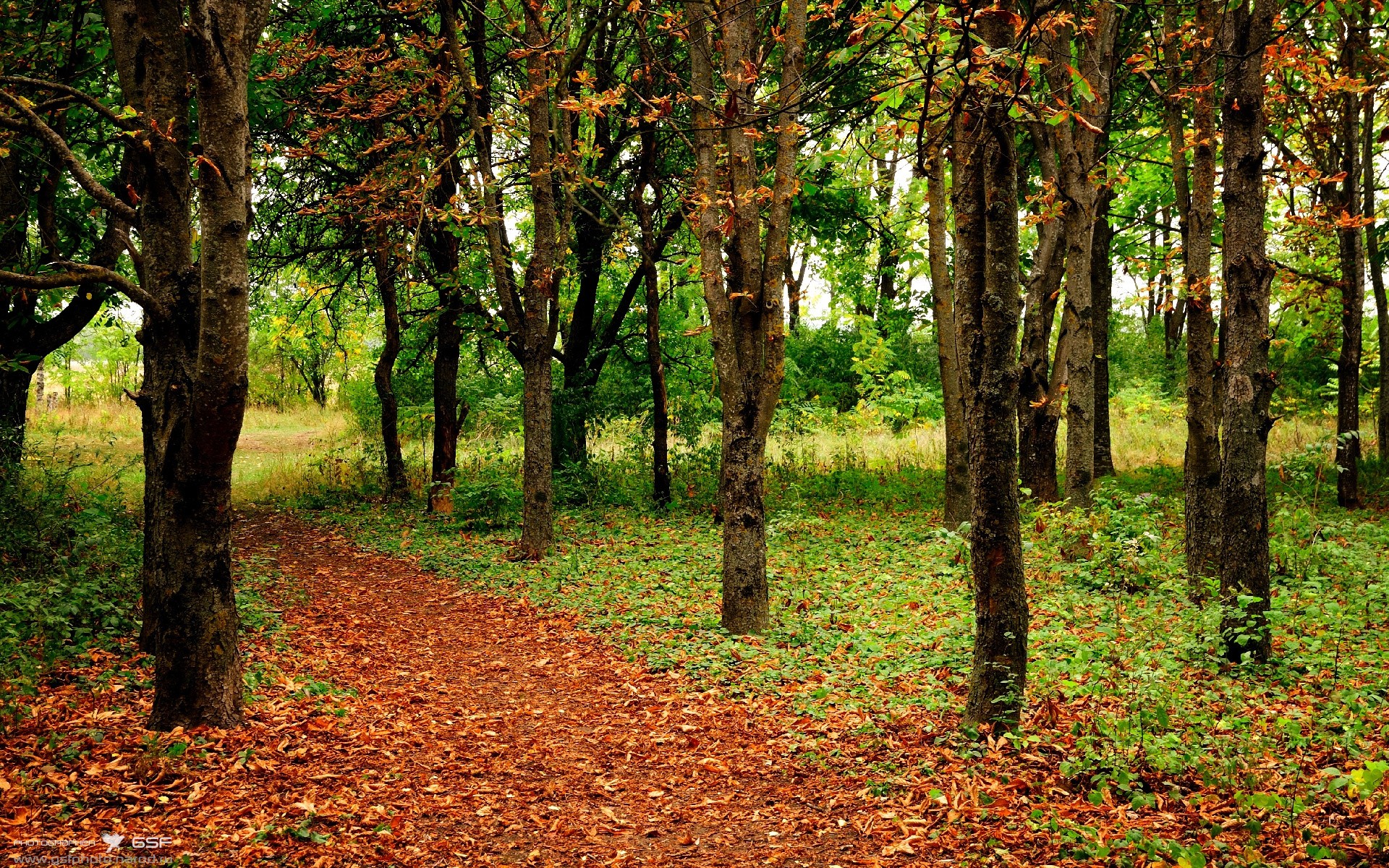 亚平宁刺客，佛罗伦萨在小径赛道收割中国力量的夜晚