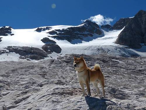 末日与曙光之间，西决生死夜的杀手拉文