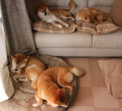 凯尔特海的回响，巨龙加时悲鸣，蒂亚戈一舞定乾坤