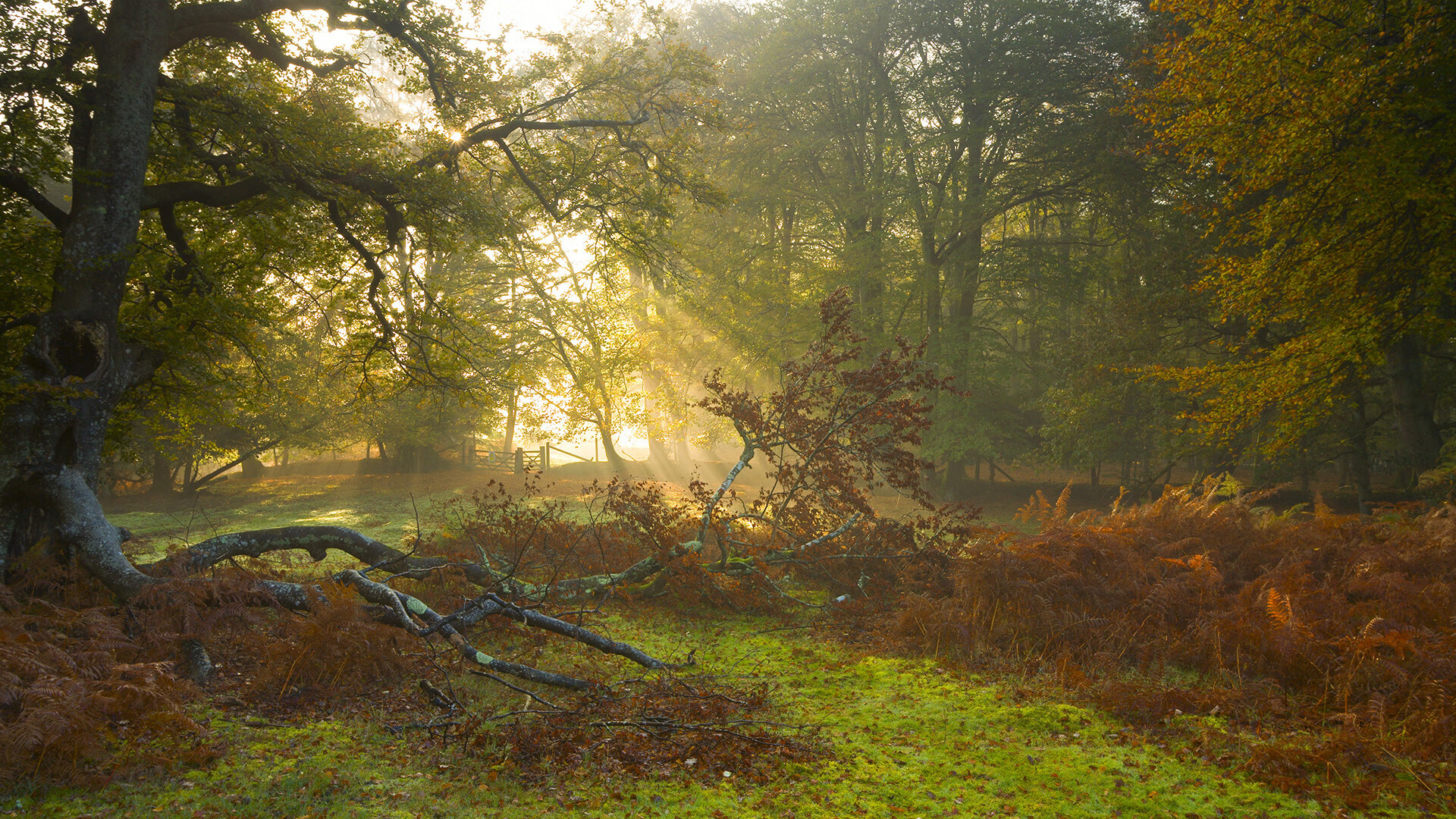 钢铁洪流VS孤胆英雄，山西队团队篮球哲学如何冲垮独行侠