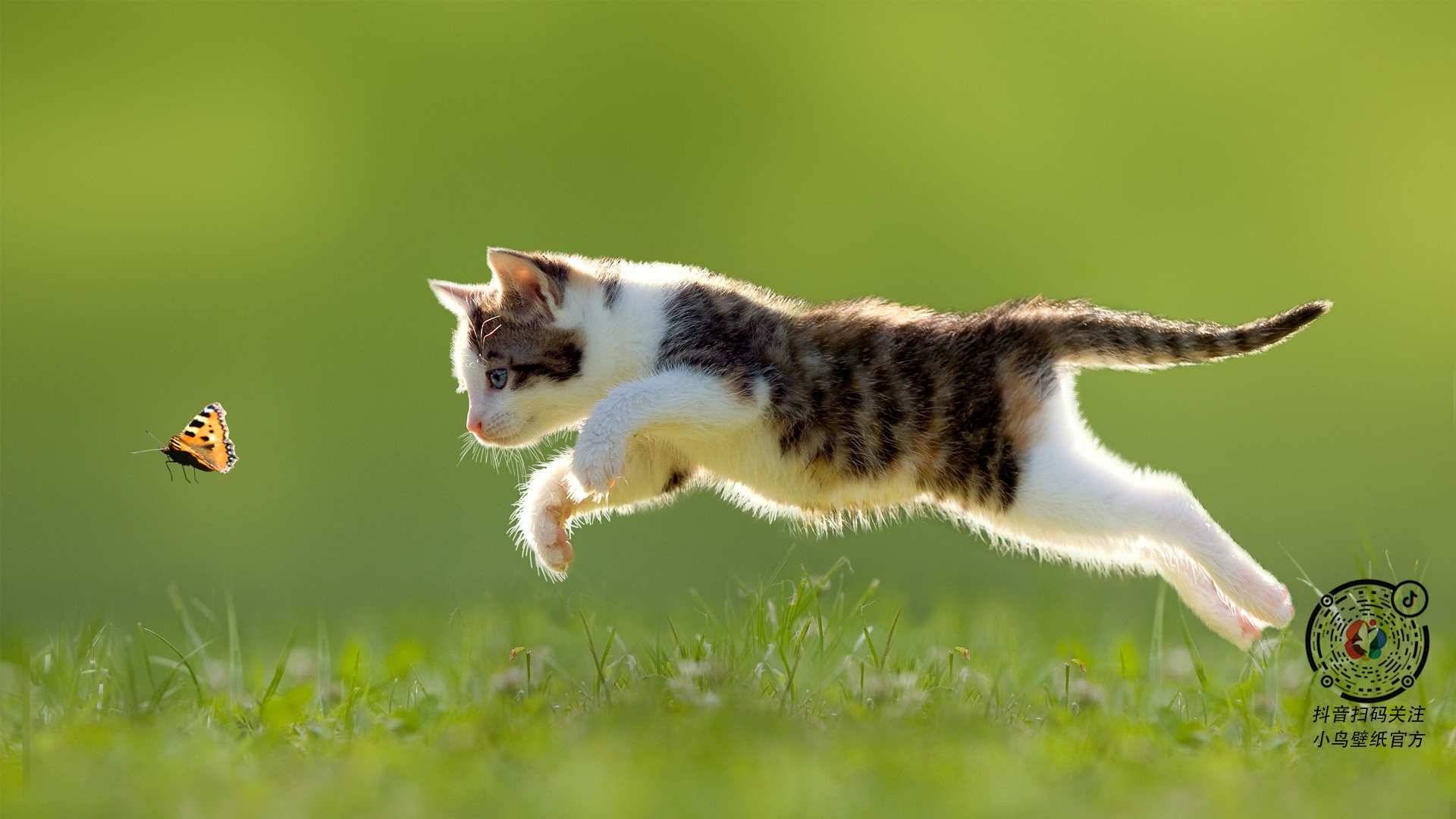 开云体育入口-两场绝杀，两种心跳