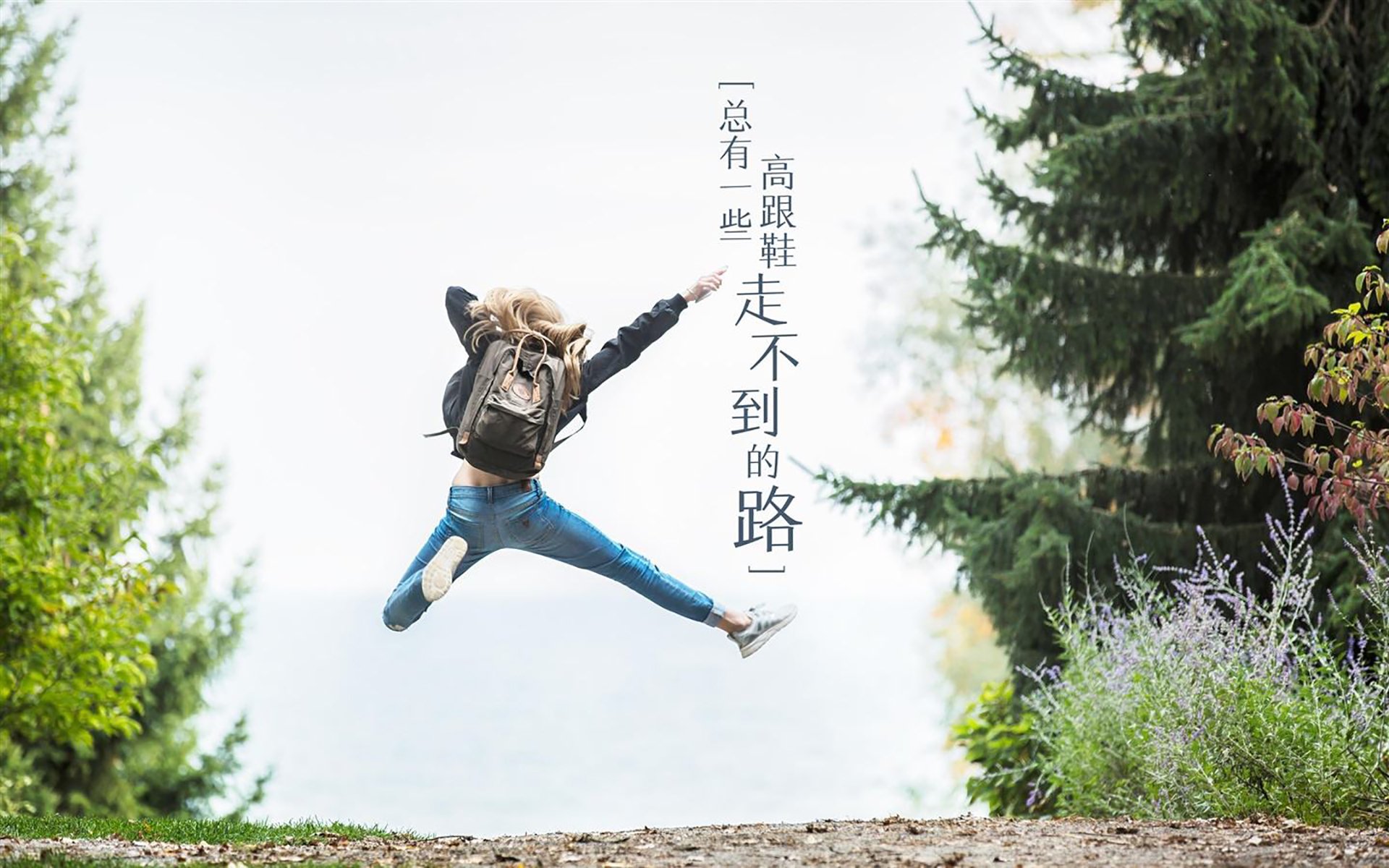 开云体育入口-国王对决奇才，爱德华兹的乔丹挑战状与新生代王权宣言