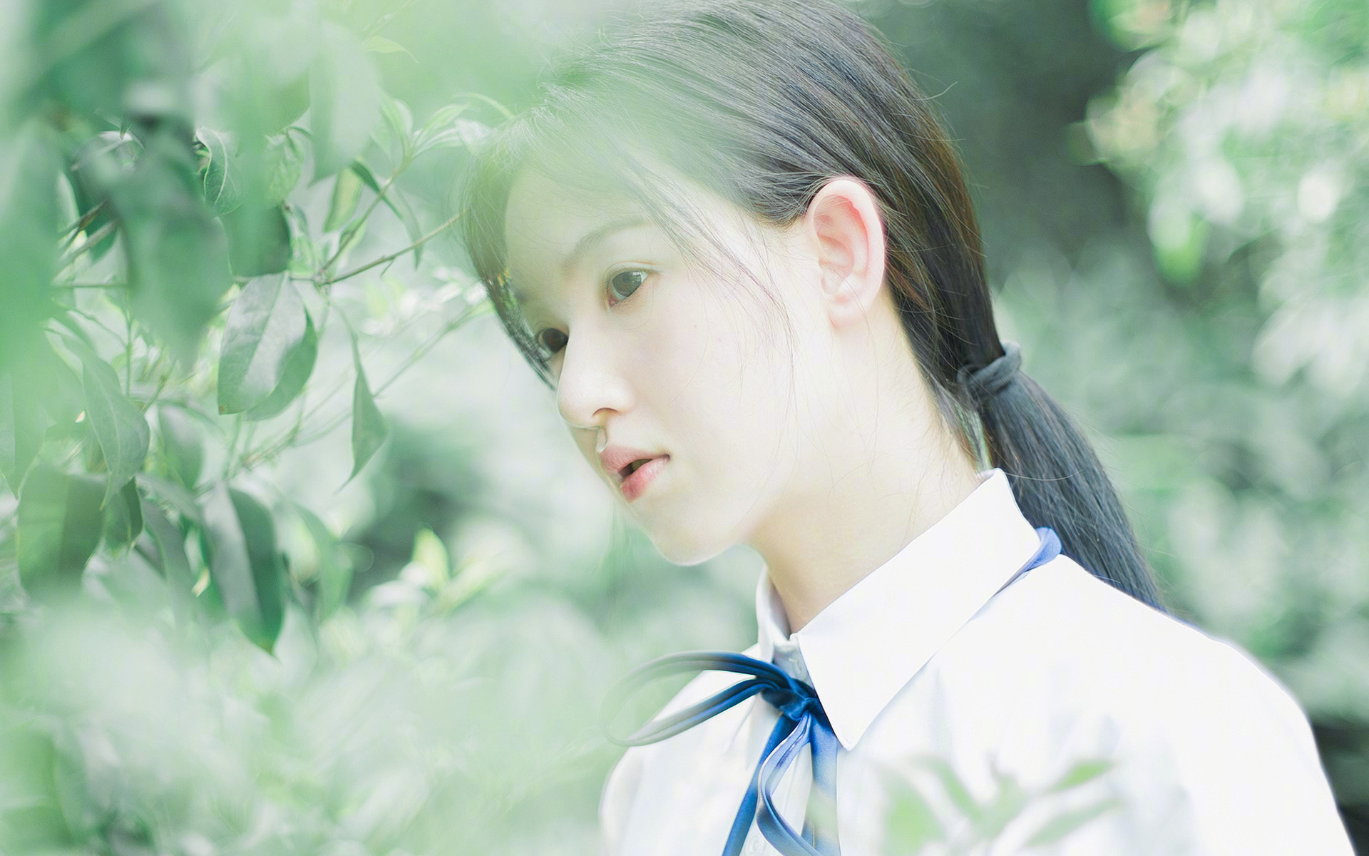 球场上的帝国反击战,伊拉克如何用连续得分谱写现代战争史诗