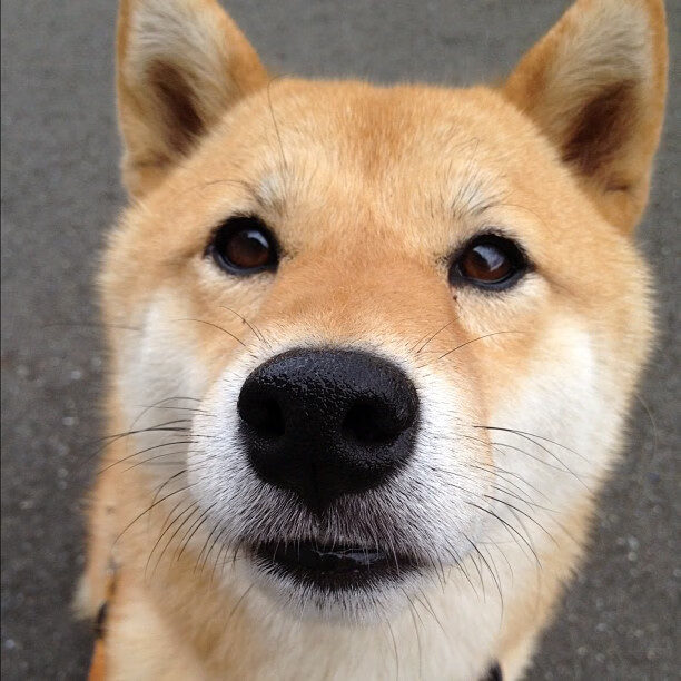 冷静基因的胜利,从阿坎吉的关键战血脉到美国门神爆冷曼联的映射