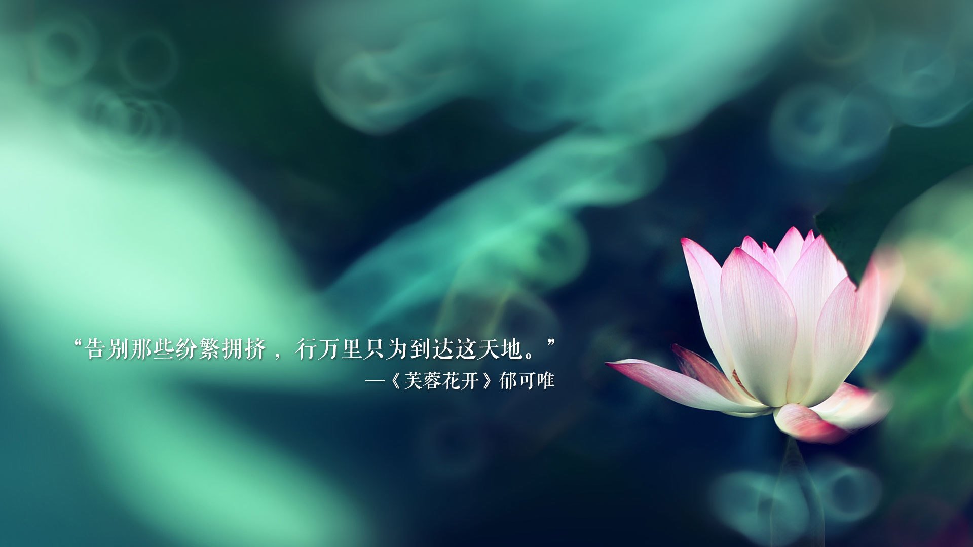 2026世界杯E组强强对话,泰国完胜加纳,德容闪耀全场,对抗强硬彰显亚洲崛起
